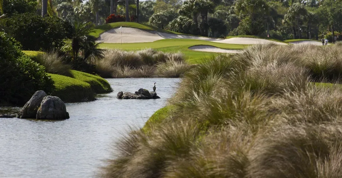 Orchid Island Golf Course Native Habitat