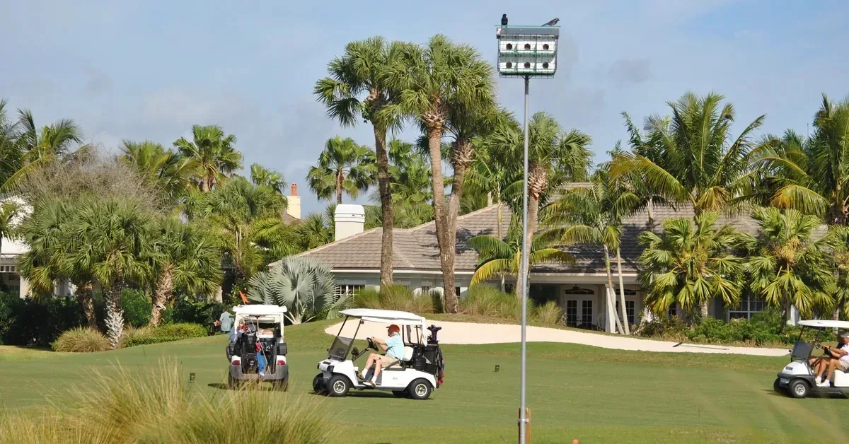 Orchid Island Golf Course Golf Carts Habitat